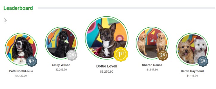 Cascades Humane Society's 2021 calendar contest contestants (dogs)