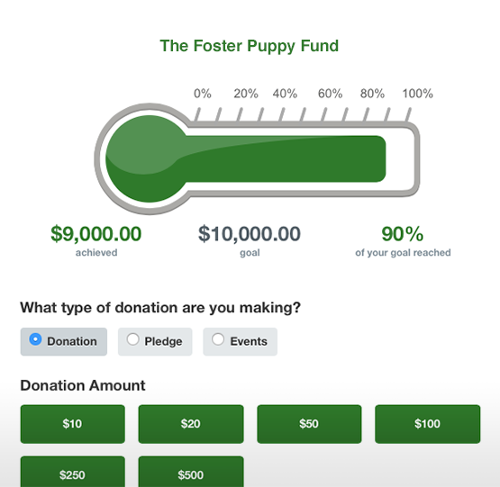 Use your charity auction software to display fundraising progress.