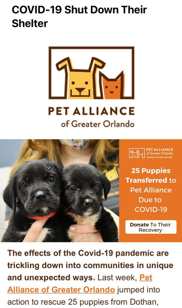 Screenshot of a email from Pet Alliance of Greater Orlando requesting emergency donations to support 25 dogs they just took in due to the COVID-19 pandemic.
