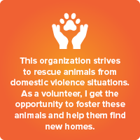 nonprofit elevator pitch 2: This organization strives to rescue animals from domestic violence situations. As a volunteer, I get the opportunity to foster these animals and help them find new homes.