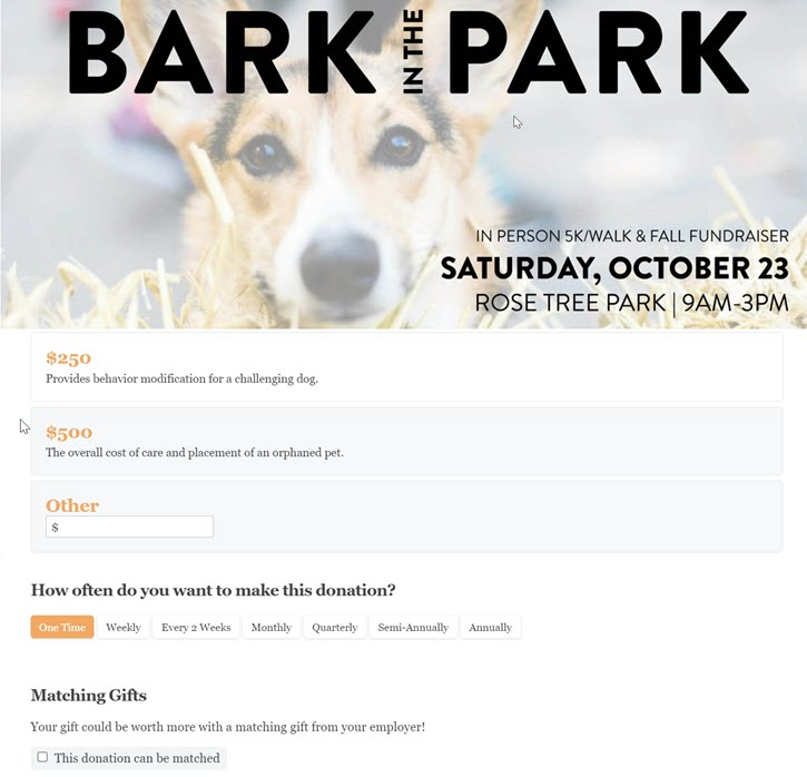screenshot of Bark in the Park's donation page with donation amounts of $250, $500, and Other displayed