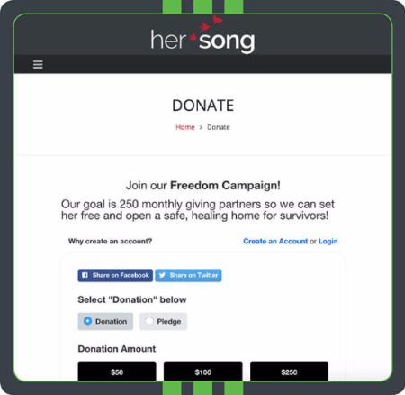 An example of a consistently branded donation page with a logo and brand colors