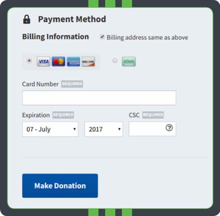 Examples of payment options on an online donation form, including credit cards and eChecks