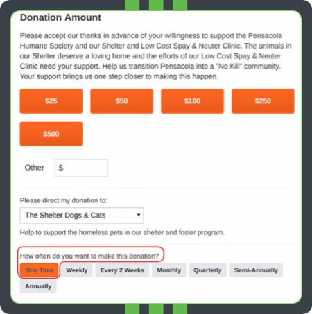 Example of a recurring donation option on an online donation form